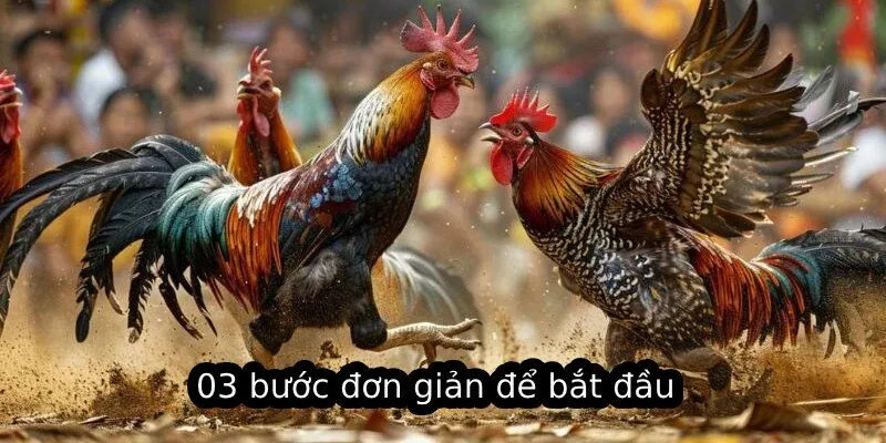 03 bước đơn giản để bắt đầu