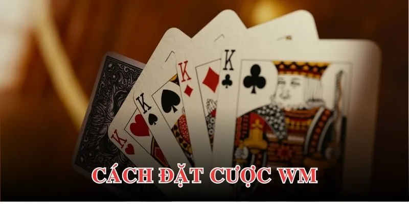 Chi tiết cách thức đặt cược trong sảnh WM cho người mới