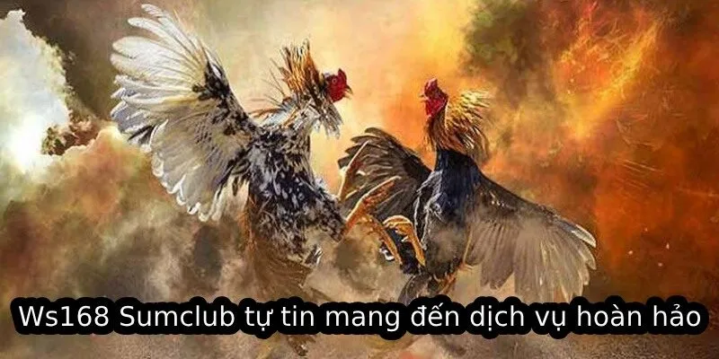Ws168 Sumclub tự tin mang đến dịch vụ hoàn hảo